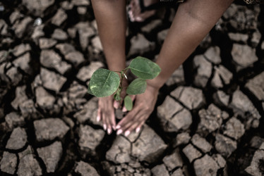 Cambio climático