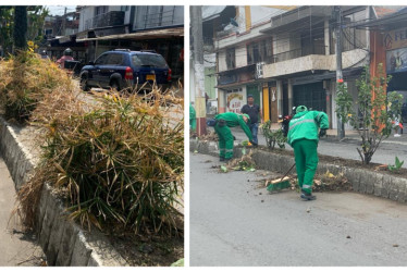 ANTES. Así estaban las plantas del separador. AHORA. Actualmente, Crea les hace el mantenimiento.