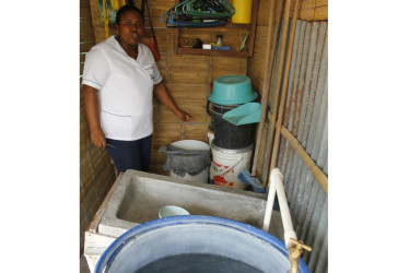 Evite el agua en recipientes. Lave muy bien los tanques donde se alberga el líquido.