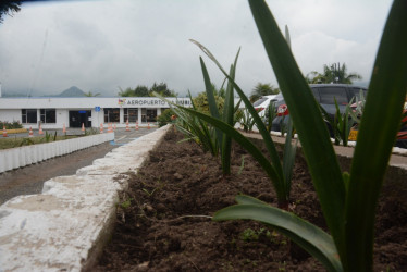 Fotos | Freddy Arango | LA PATRIA  Este es el aspecto de las plantas de los separadores.