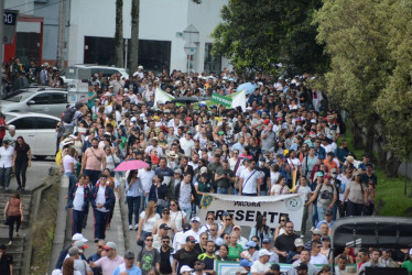 Docentes de Caldas se reunieron en Manizales para expresar su descontento con los cambios de la ley estatutaria a la educación. 