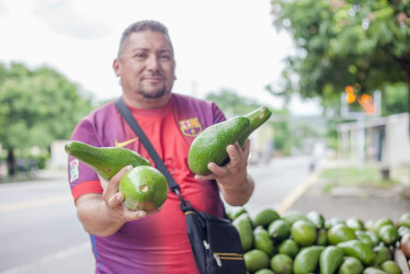 Contrarrestar los préstamos 'gota a gota' es el objetivo de la Línea Especial de Microcrédito del Fondo para el Financiamiento del Sector Agropecuario (Finagro), que subsidia los créditos de pequeños productores en todo el país.