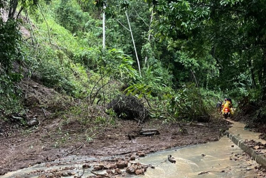 Este es el derrumbe que cerró el paso entre Arauca y La Rochela, en Caldas.