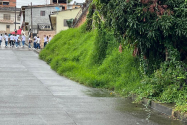 El pasto y la maleza se tomó el sendero peatonal.