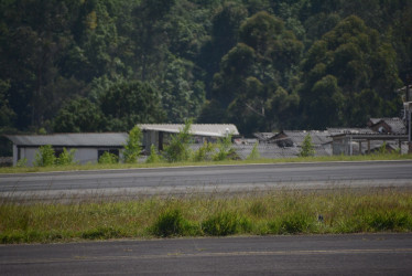 Así se veía la zona verde de la pista de aviones del Aeropuerto La Nubia el pasado miércoles. El gobernador de Caldas, Henry Gutiérrez, respondió a las denuncias por falta de mantenimiento en el recinto.