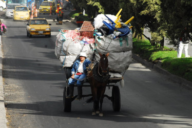 En Caldas, Manizales fue el primer municipio en erradicar las carretillas.