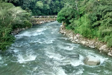 La intervención se hará en el Alto Zorro del río La Miel. 