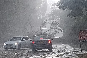 La vía Pereira - Armenia estuvo cerrada por caídas de árboles.