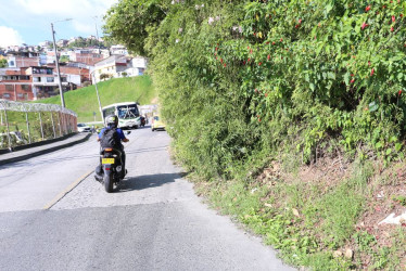 Así se encuentra la maleza del carril que va del barrio Malabar hacia Las Colinas.