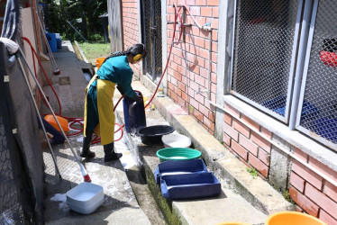 "Desde las 8:00 de la mañana, el personal encargado de la limpieza de los caniles inicia labores de lavado y de alimentación de los animales", explica la secretaria del Medio Ambiente, Jessica Silvana Quiroz Hernández.