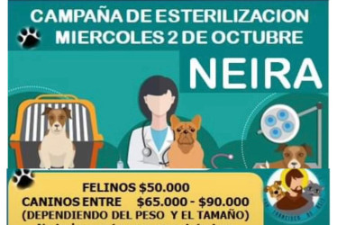 La Fundación San Francisco de Asís realizará campaña de esterilización para perros y gatos en Neira. También visitan zonas rurales del municipio. 