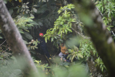 accidente de tránsito vereda Manizales