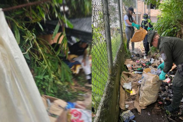 Antes (izq.), el terreno era utilizado por habitantes de calle para dormir y consumir alucinógenos, según vecinos de Los Álamos. Ahora, la Policía, Emas y la comunidad del barrio embellecieron el sector.