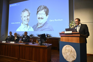 El presidente del Comité Nobel, Thomas Perlmann, se dirige a una conferencia de prensa para anunciar los ganadores del Premio Nobel de Fisiología o Medicina en el Instituto Karolinska de Estocolmo, Suecia, el 7 de octubre de 2024.